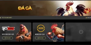 Đá Gà Cựa Sắt Campuchia - Hình Thức Cược Hấp Dẫn TẠi 123B